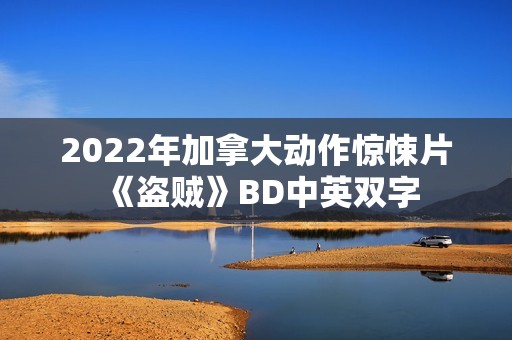 2022年加拿大动作惊悚片《盗贼》BD中英双字