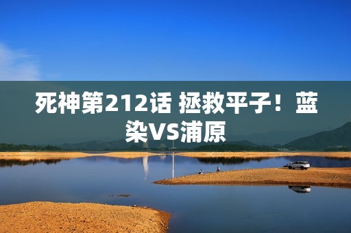 死神第212话 拯救平子！蓝染VS浦原