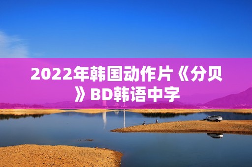 2022年韩国动作片《分贝》BD韩语中字