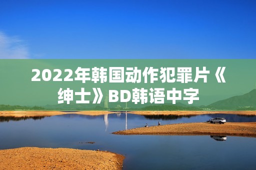 2022年韩国动作犯罪片《绅士》BD韩语中字