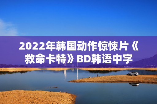 2022年韩国动作惊悚片《救命卡特》BD韩语中字