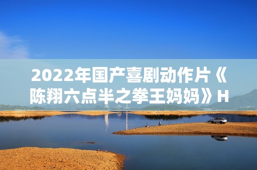 2022年国产喜剧动作片《陈翔六点半之拳王妈妈》HD国语中字