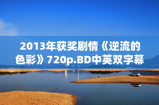 2013年获奖剧情《逆流的色彩》720p.BD中英双字幕