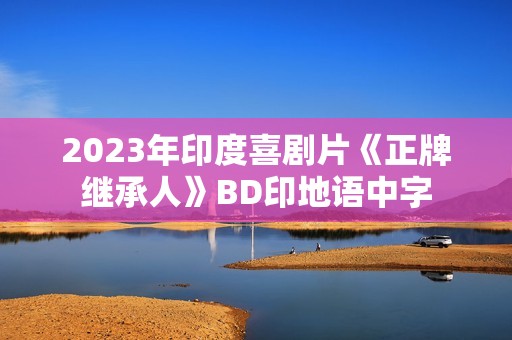 2023年印度喜剧片《正牌继承人》BD印地语中字
