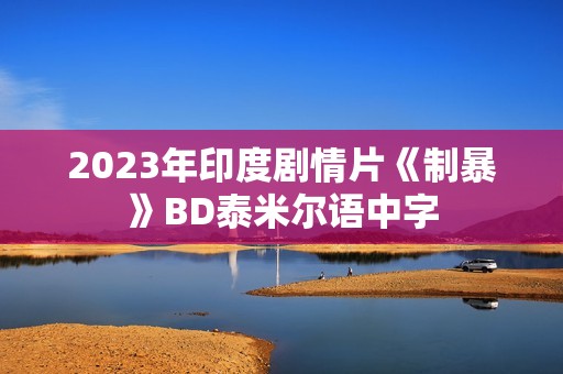 2023年印度剧情片《制暴》BD泰米尔语中字