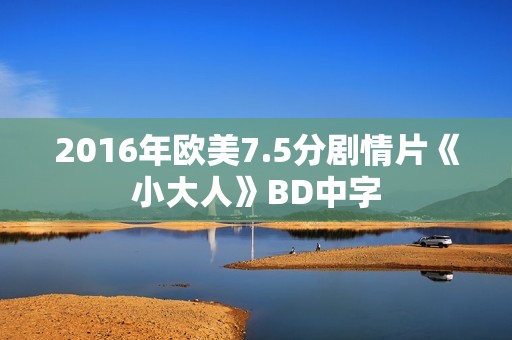 2016年欧美7.5分剧情片《小大人》BD中字