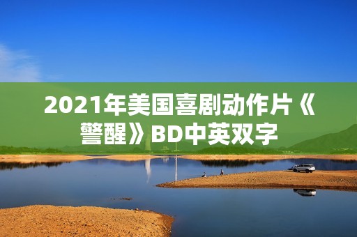 2021年美国喜剧动作片《警醒》BD中英双字