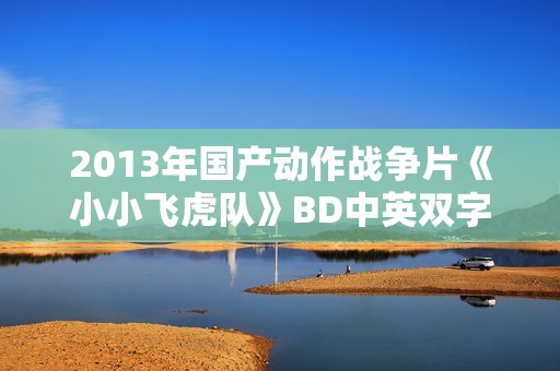 2013年国产动作战争片《小小飞虎队》BD中英双字