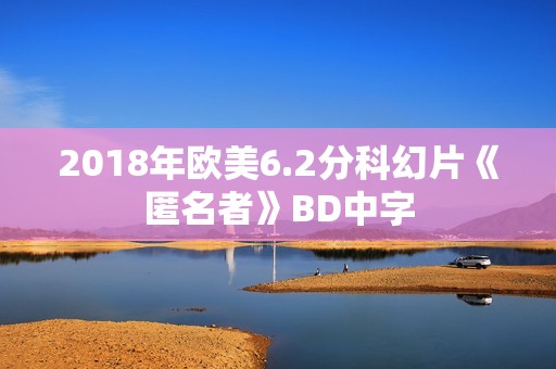 2018年欧美6.2分科幻片《匿名者》BD中字