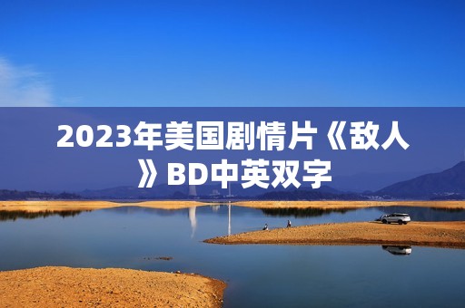 2023年美国剧情片《敌人》BD中英双字