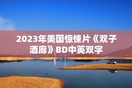 2023年美国惊悚片《双子酒廊》BD中英双字
