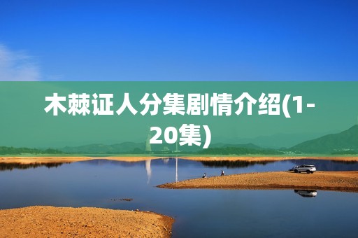 木棘证人分集剧情介绍(1-20集)