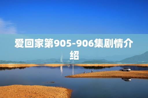 爱回家第905-906集剧情介绍