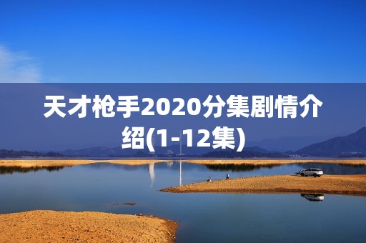 天才枪手2020分集剧情介绍(1-12集)