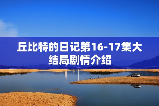 丘比特的日记第16-17集大结局剧情介绍