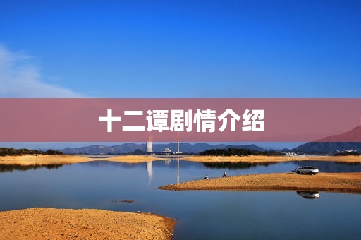 十二谭剧情介绍
