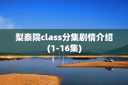 梨泰院class分集剧情介绍(1-16集)