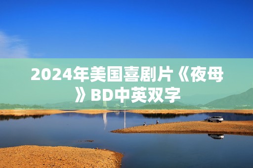 2024年美国喜剧片《夜母》BD中英双字