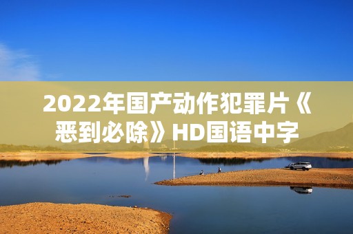 2022年国产动作犯罪片《恶到必除》HD国语中字