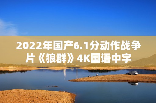 2022年国产6.1分动作战争片《狼群》4K国语中字 2022年国产6.1分动作战争片《狼群》4K国语中字