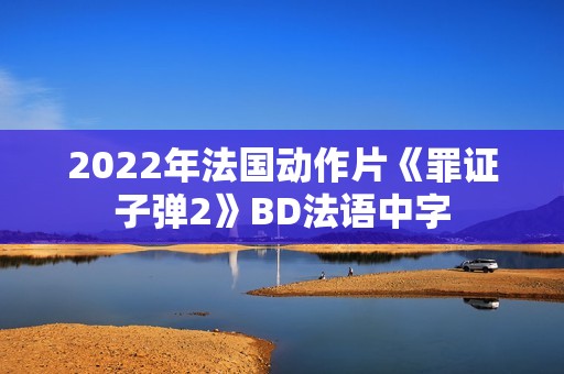 2022年法国动作片《罪证子弹2》BD法语中字