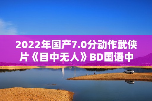 2022年国产7.0分动作武侠片《目中无人》BD国语中英双字