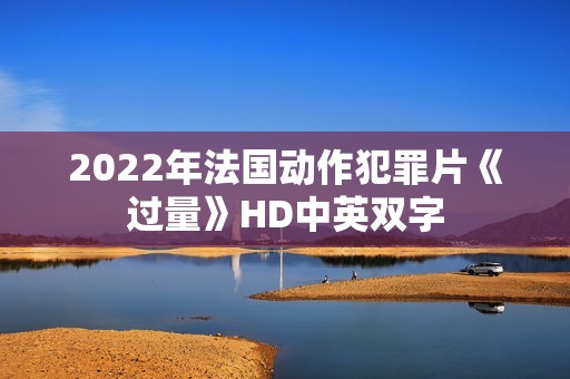 2022年法国动作犯罪片《过量》HD中英双字