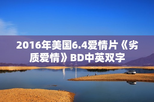 2016年美国6.4爱情片《劣质爱情》BD中英双字 2016年美国6.4爱情片《劣质爱情》BD中英双字