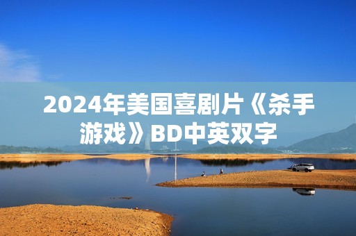 2024年美国喜剧片《杀手游戏》BD中英双字