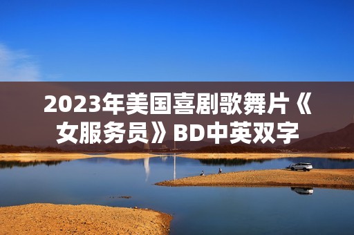 2023年美国喜剧歌舞片《女服务员》BD中英双字 2023年美国喜剧歌舞片《女服务员》BD中英双字