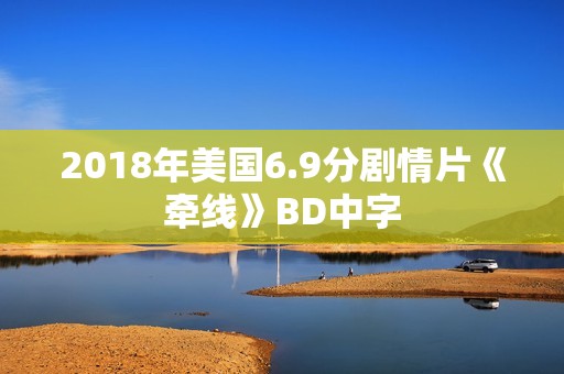 2018年美国6.9分剧情片《牵线》BD中字
