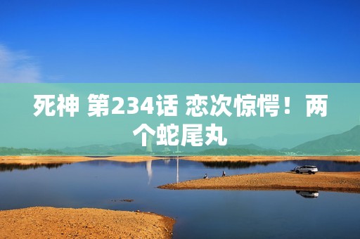 死神 第234话 恋次惊愕！两个蛇尾丸