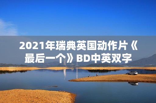2021年瑞典英国动作片《最后一个》BD中英双字 2021年瑞典英国动作片《最后一个》BD中英双字