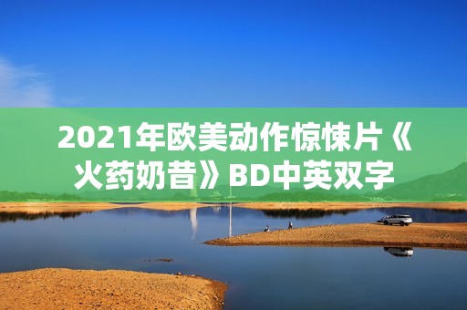 2021年欧美动作惊悚片《火药奶昔》BD中英双字