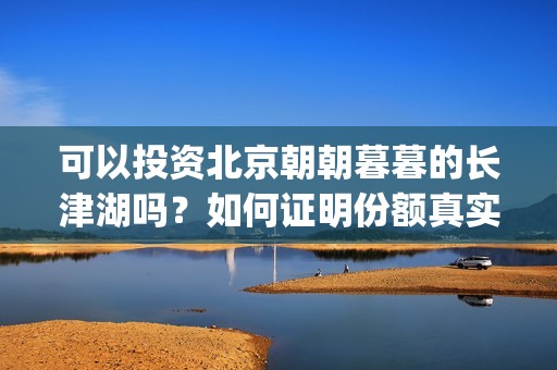 可以投资北京朝朝暮暮的长津湖吗？如何证明份额真实性？(可以投资北京朝阳公司吗)