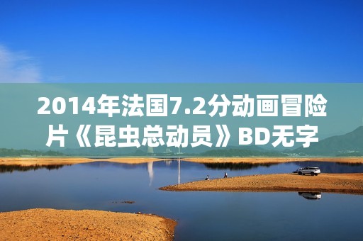 2014年法国7.2分动画冒险片《昆虫总动员》BD无字