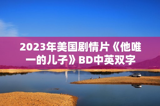 2023年美国剧情片《他唯一的儿子》BD中英双字