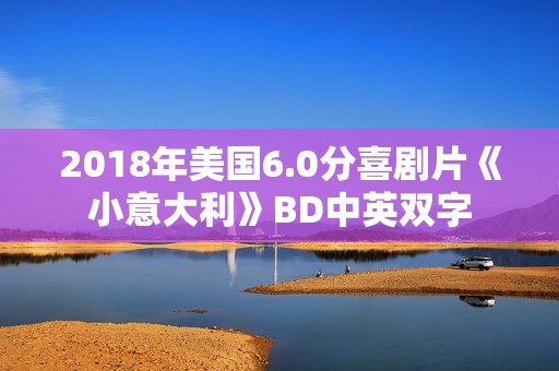 2018年美国6.0分喜剧片《小意大利》BD中英双字