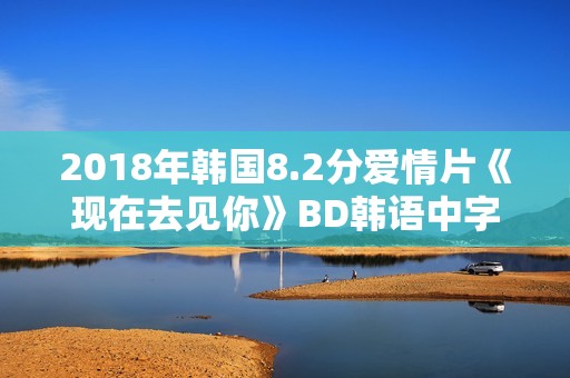 2018年韩国8.2分爱情片《现在去见你》BD韩语中字