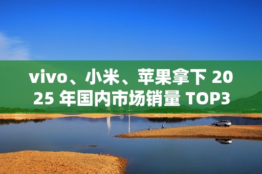 vivo、小米、苹果拿下 2025 年国内市场销量 TOP3，激活量超 4000 万