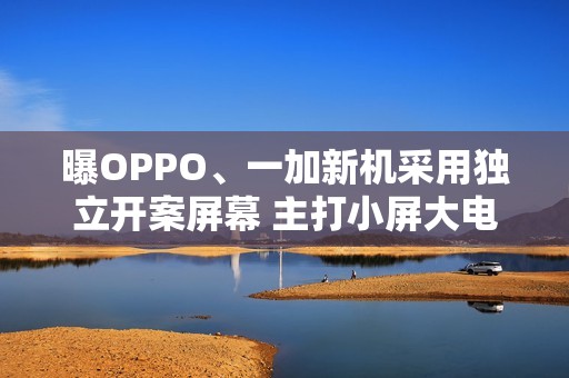 曝OPPO、一加新机采用独立开案屏幕 主打小屏大电池