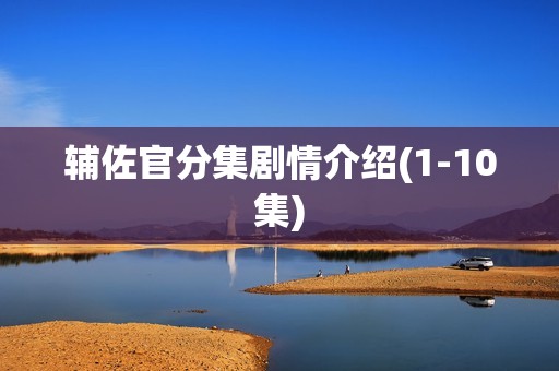 辅佐官分集剧情介绍(1-10集)