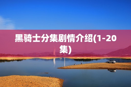 黑骑士分集剧情介绍(1-20集)