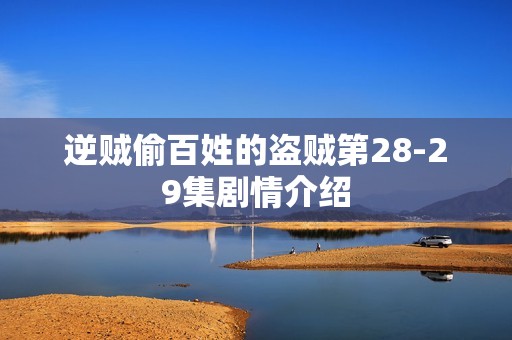 逆贼偷百姓的盗贼第28-29集剧情介绍