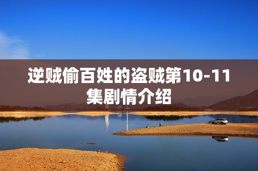 逆贼偷百姓的盗贼第10-11集剧情介绍