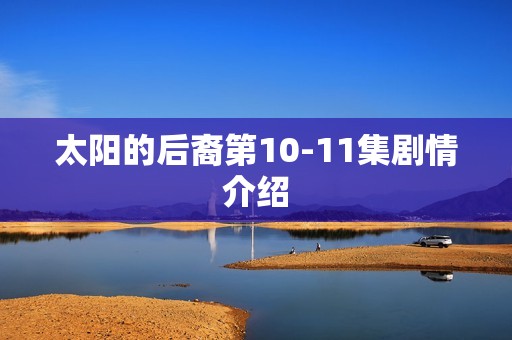 太阳的后裔第10-11集剧情介绍