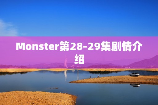 Monster第28-29集剧情介绍