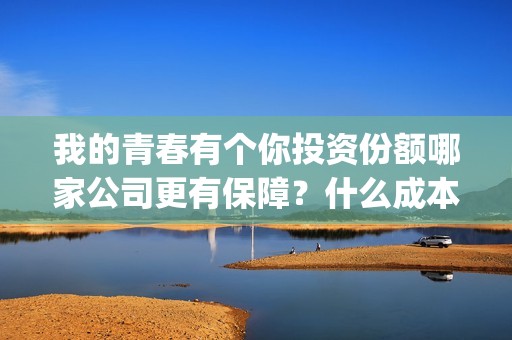 我的青春有个你投资份额哪家公司更有保障？什么成本？投资收益多少？(我的青春有个你演员表)