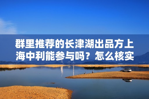 群里推荐的长津湖出品方上海中利能参与吗？怎么核实份额真实性？