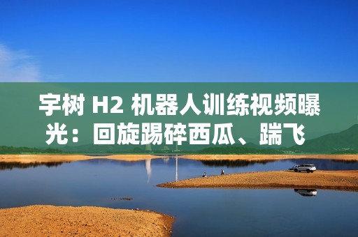宇树 H2 机器人训练视频曝光：回旋踢碎西瓜、踹飞 60 公斤沙包
